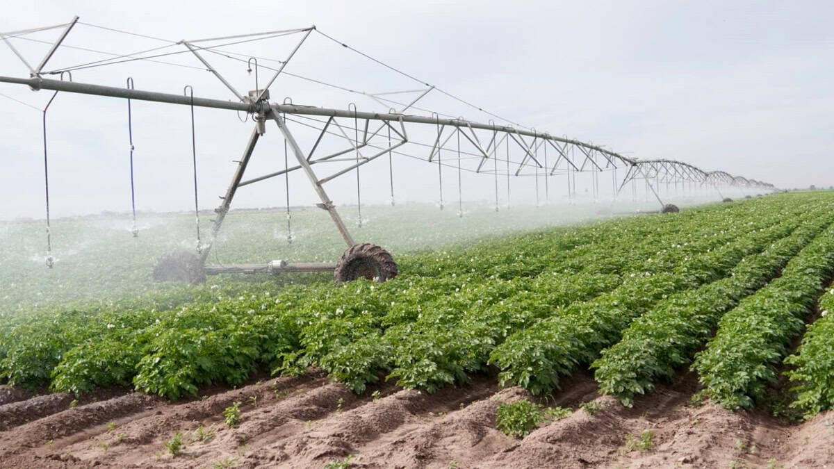 Impulsan el uso eficiente del agua