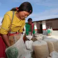 Sader guía a productores de Sonora en proceso de pago