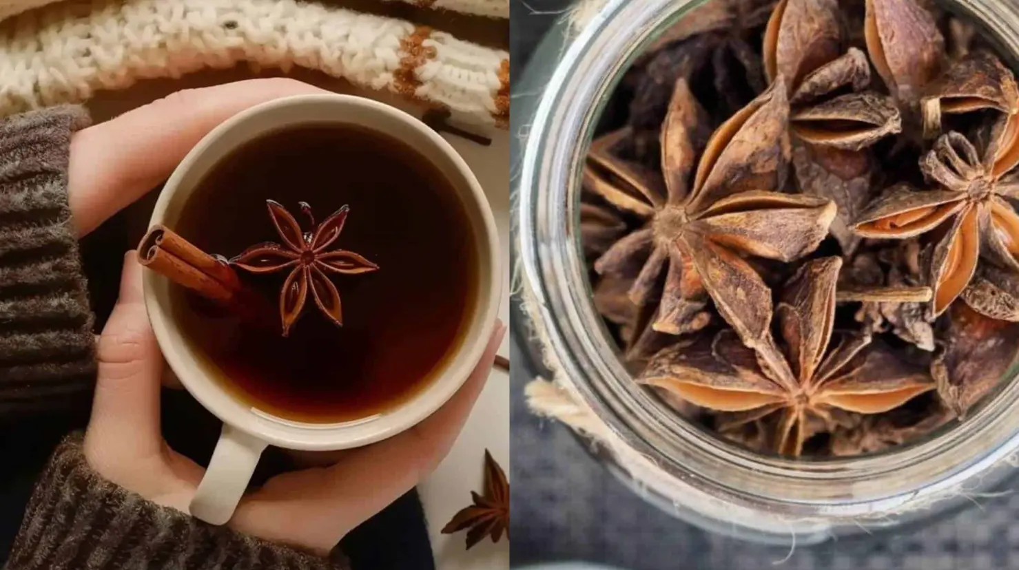 ¿Qué pasa si consumes té de Anís en tu ingesta diaria? Conoce beneficios y contraindicaciones