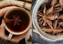 ¿Qué pasa si consumes té de Anís en tu ingesta diaria? Conoce beneficios y contraindicaciones