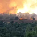 VIDEOS | Así vive Israel los peores incendios forestales de su historia reciente