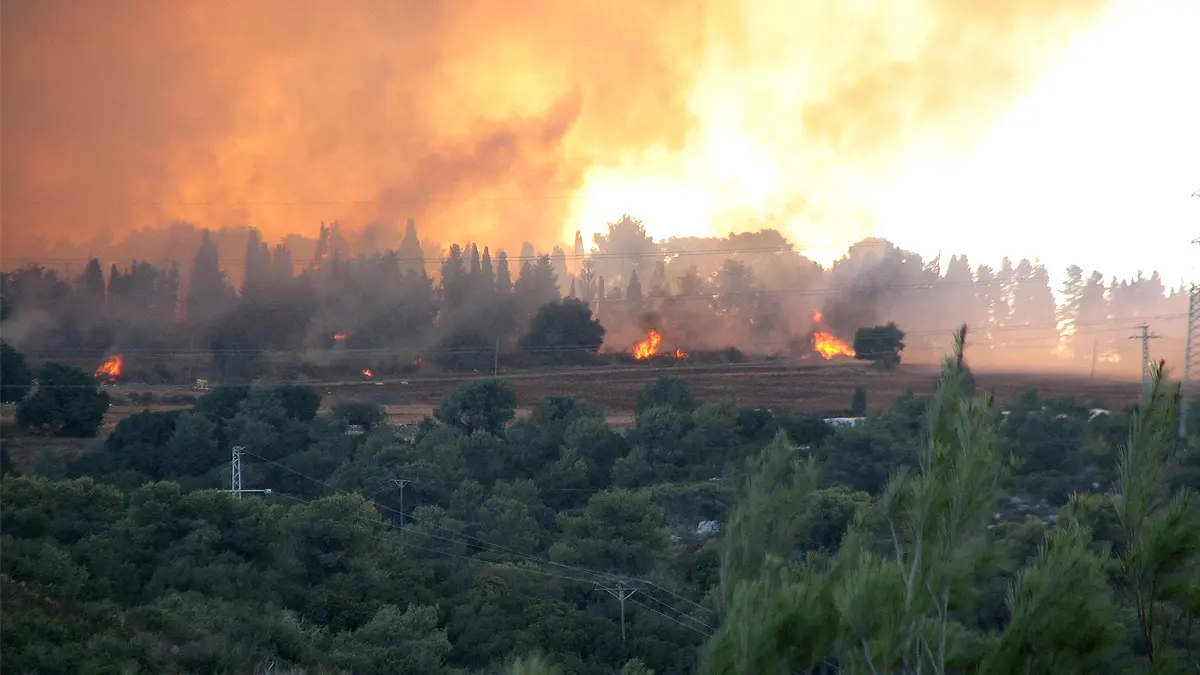 VIDEOS | Así vive Israel los peores incendios forestales de su historia reciente