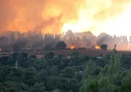 VIDEOS | Así vive Israel los peores incendios forestales de su historia reciente