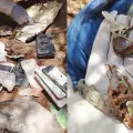 Encuentran seis cuerpos en fosa clandestina: Madres buscadoras comparten objetos