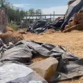 Ganaderos en Navojoa buscan apoyo con agricultores