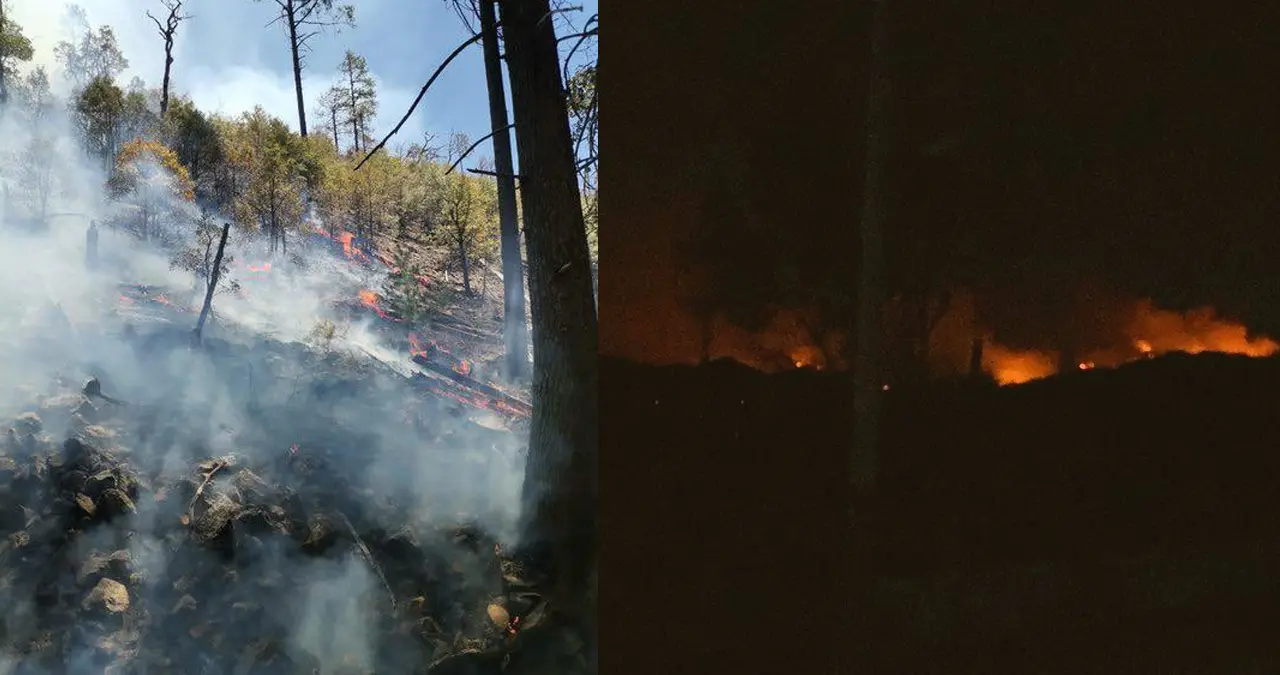 Aumenta el número de brigadistas para combatir el incendio forestal en Nácori Chico