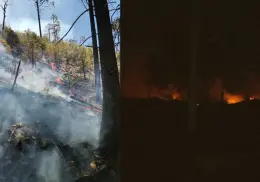 Aumenta el número de brigadistas para combatir el incendio forestal en Nácori Chico