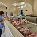 Venta de pescados y mariscos en Cajeme se normaliza