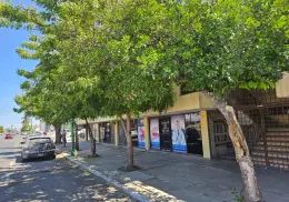 Llama Canaco a reforestar la ciudad