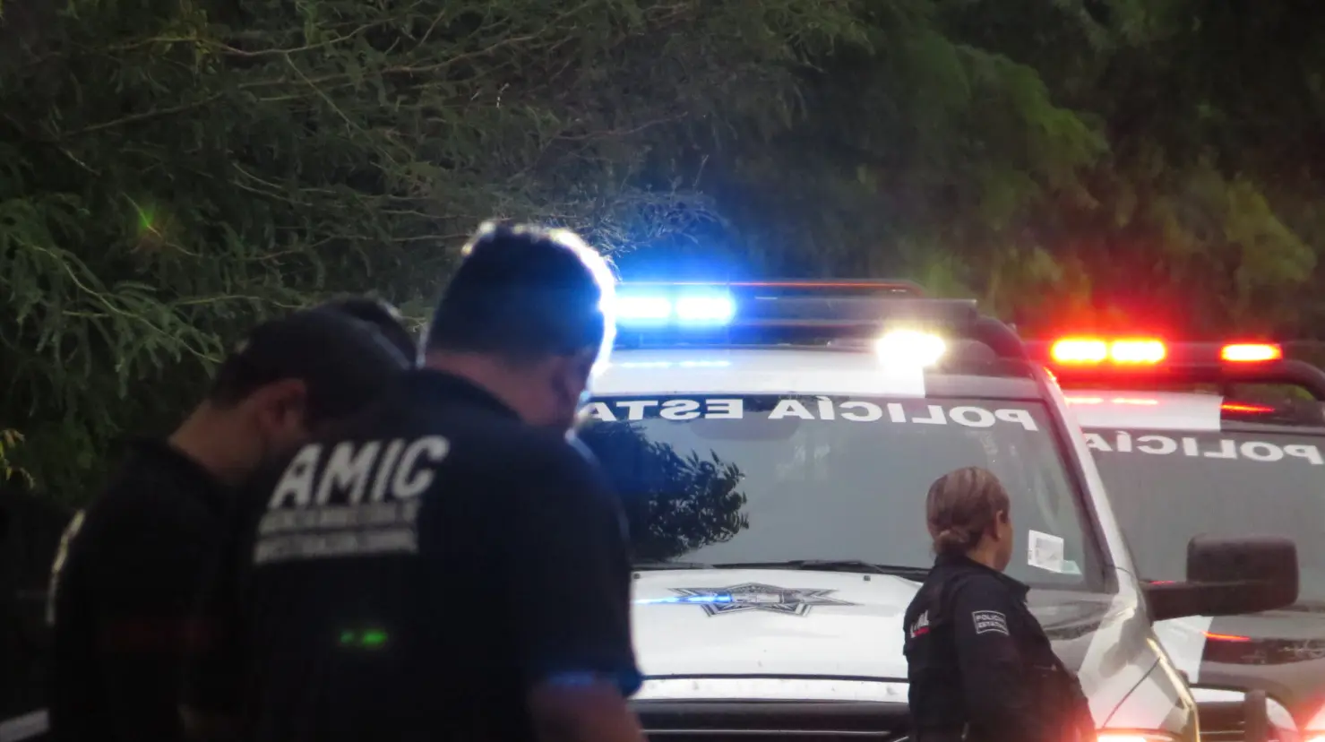 Catean viviendas en Cedros II, en Ciudad Obregón