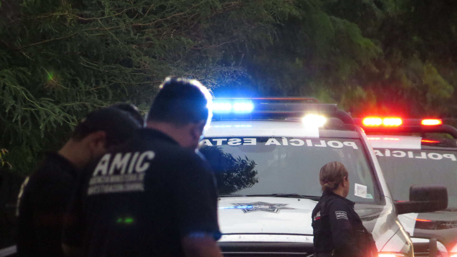 Catean viviendas en Cedros II, en Ciudad Obregón