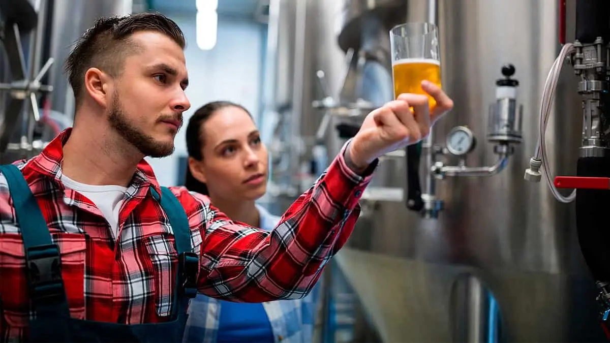 ¿Cuánto ganan los empleados de las cervecerías en México? Esto se sabe al respecto