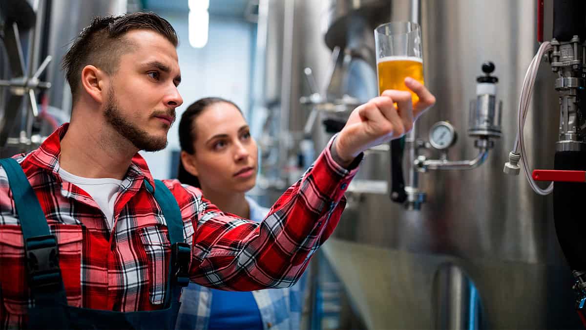 ¿Cuánto ganan los empleados de las cervecerías en México? Esto se sabe al respecto