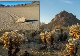 Desierto de Sonora o Valle de la Muerte. ¿Cuál es el lugar más caliente de la Tierra?