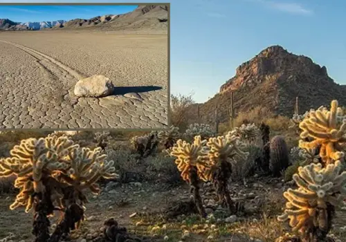 Desierto de Sonora o Valle de la Muerte. ¿Cuál es el lugar más caliente de la Tierra?