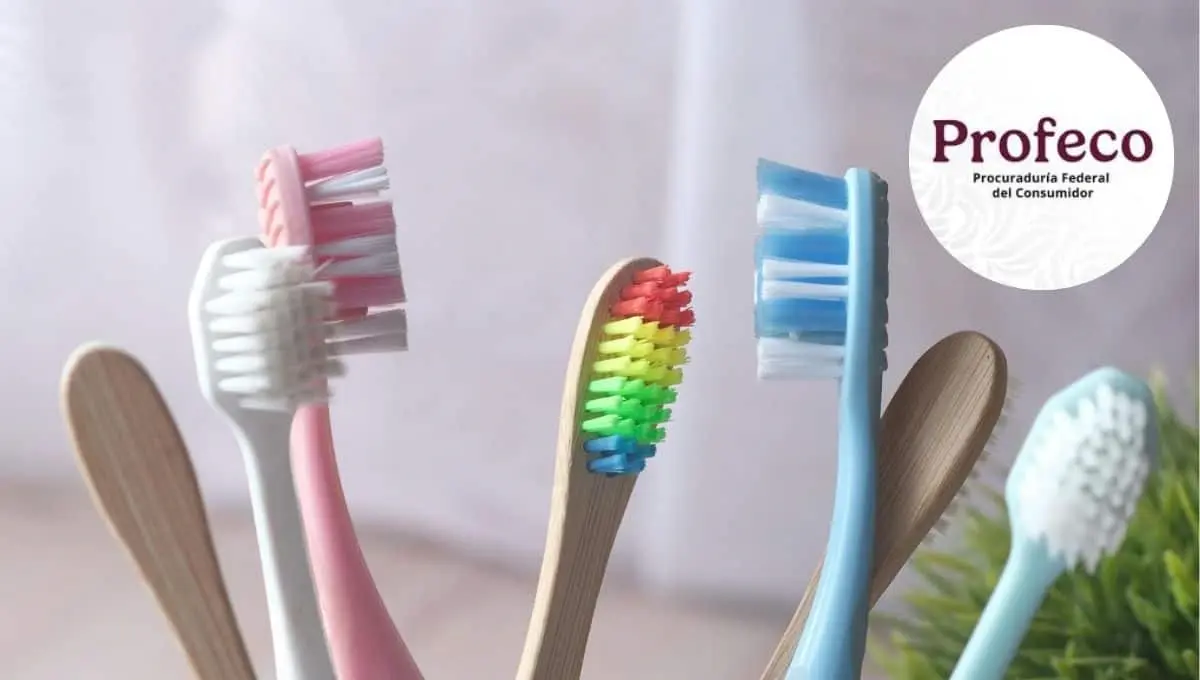 Descubre los mejores productos para el cuidado de tu boca / Pexels