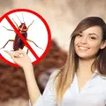 Elimina las cucarachas para siempre de tu hogar utilizando este ingrediente de cocina