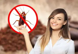 Elimina las cucarachas para siempre de tu hogar utilizando este ingrediente de cocina