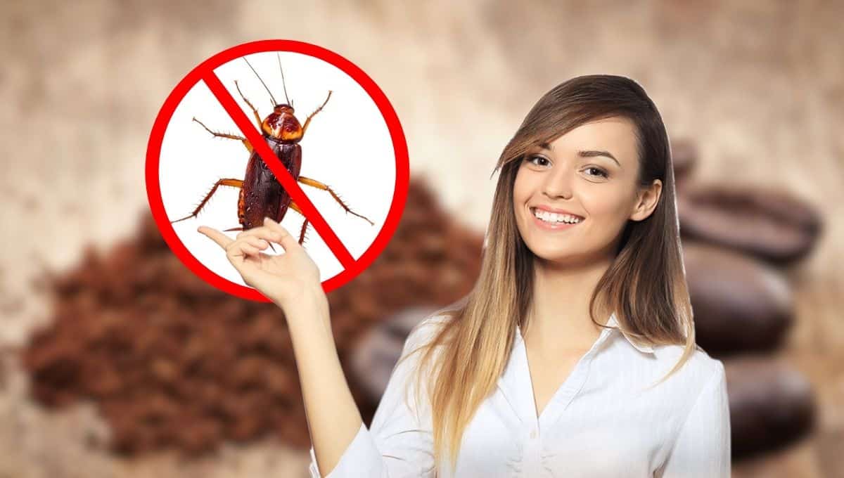 Elimina las cucarachas para siempre de tu hogar utilizando este ingrediente de cocina