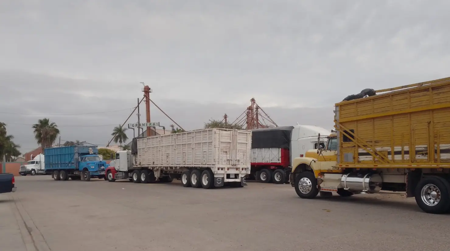 Transportistas de carga de la Región del Mayo rechazan renovación vehicular