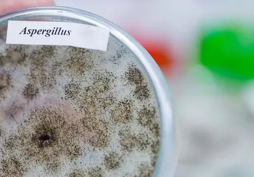 Hongo contagioso obliga a cerrar cinco alas de un hospital público