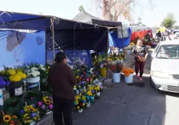 Día de las Madres: Venderán flores comerciantes ambulantes de Cajeme