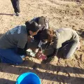 Vivero de Itesca en crecimiento