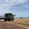 Trigo con rendimientos de casi 7 toneladas en el Valle del Mayo