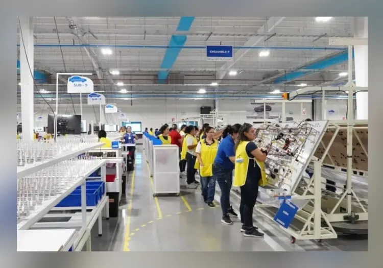 Necesaria mayor inclusión laboral en Cajeme
