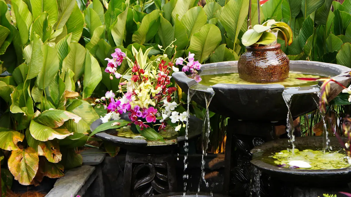 Según el Feng Shui estas 4 plantas son ideales para mejorar la energía de tu casa