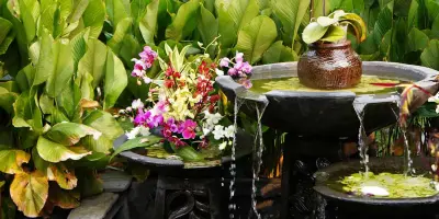 Según el Feng Shui estas 4 plantas son ideales para mejorar la energía de tu casa