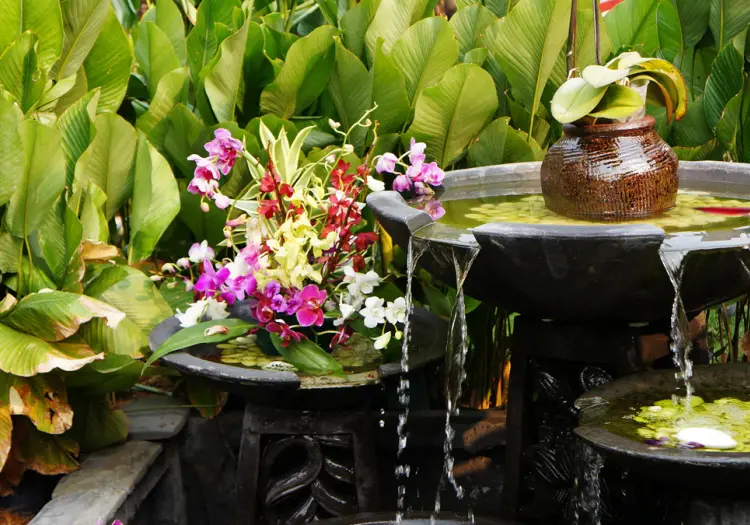 Según el Feng Shui estas 4 plantas son ideales para mejorar la energía de tu casa