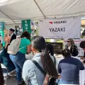 Navojoa recupera empleos
