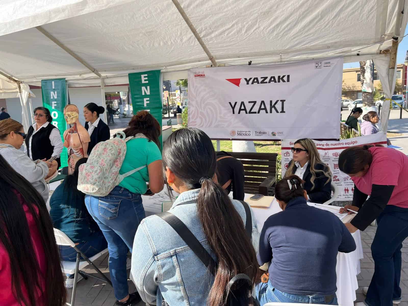 Recupera Navojoa empleos