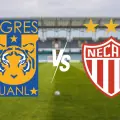 Tigres vs Necaxa: horarios y posibles alineaciones para el partido de ida
