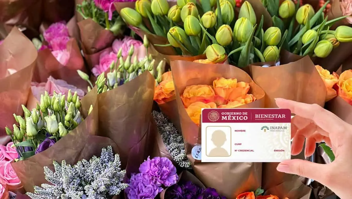 Con esta credencial podrás disfrutar de descuentos / Pexels, PNGWing
