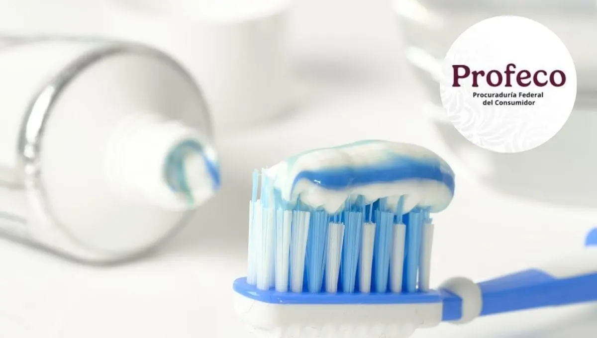 Esta es la pasta dental que recomiendan a los consumidores / Pixabay