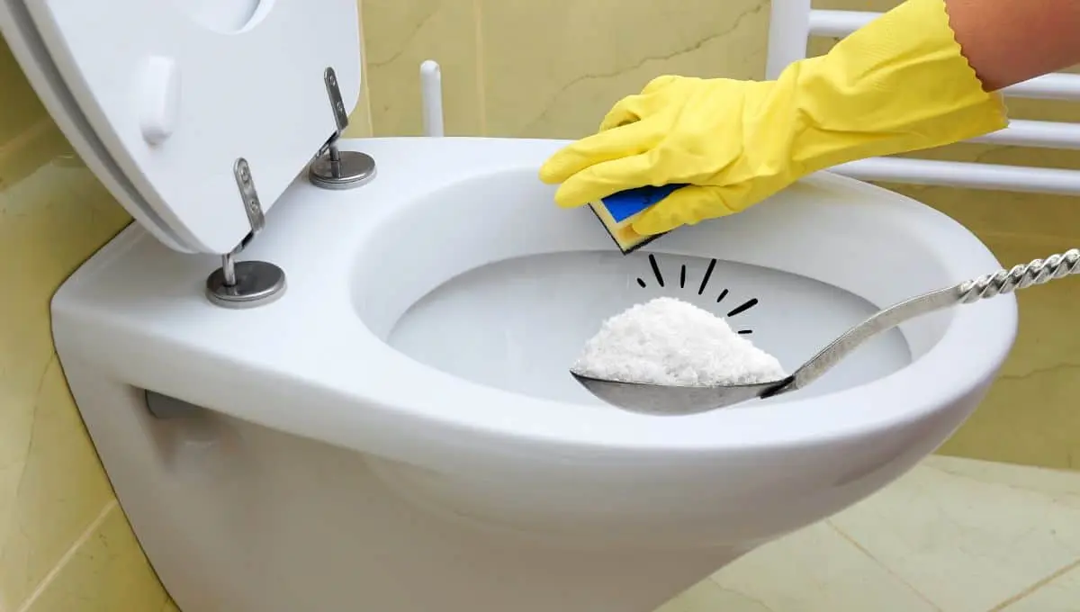 Así debes limpiar tu baño / Canva