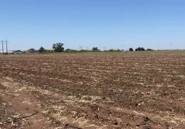 Ciclo agrícola concluye en julio, preocupan condiciones adversas