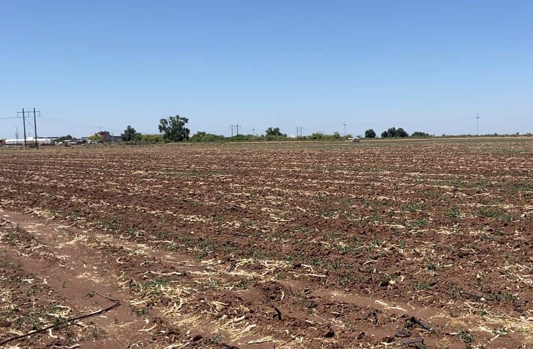 Ciclo agrícola concluye en julio, preocupan condiciones adversas