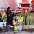 Día de las Madres: Llegaron las flores a Ciudad Obregón