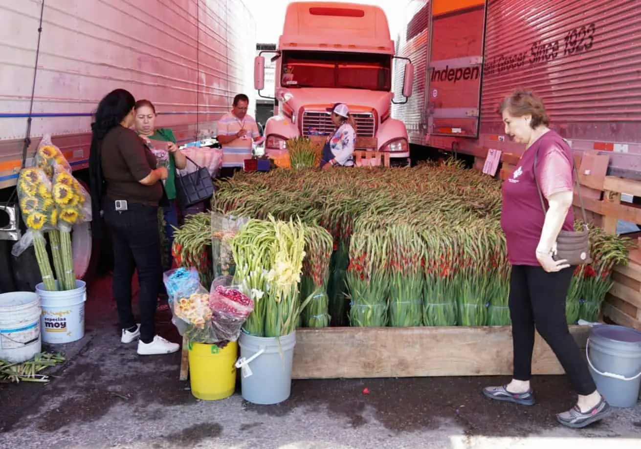 Día de las Madres: Llegaron las flores a Ciudad Obregón