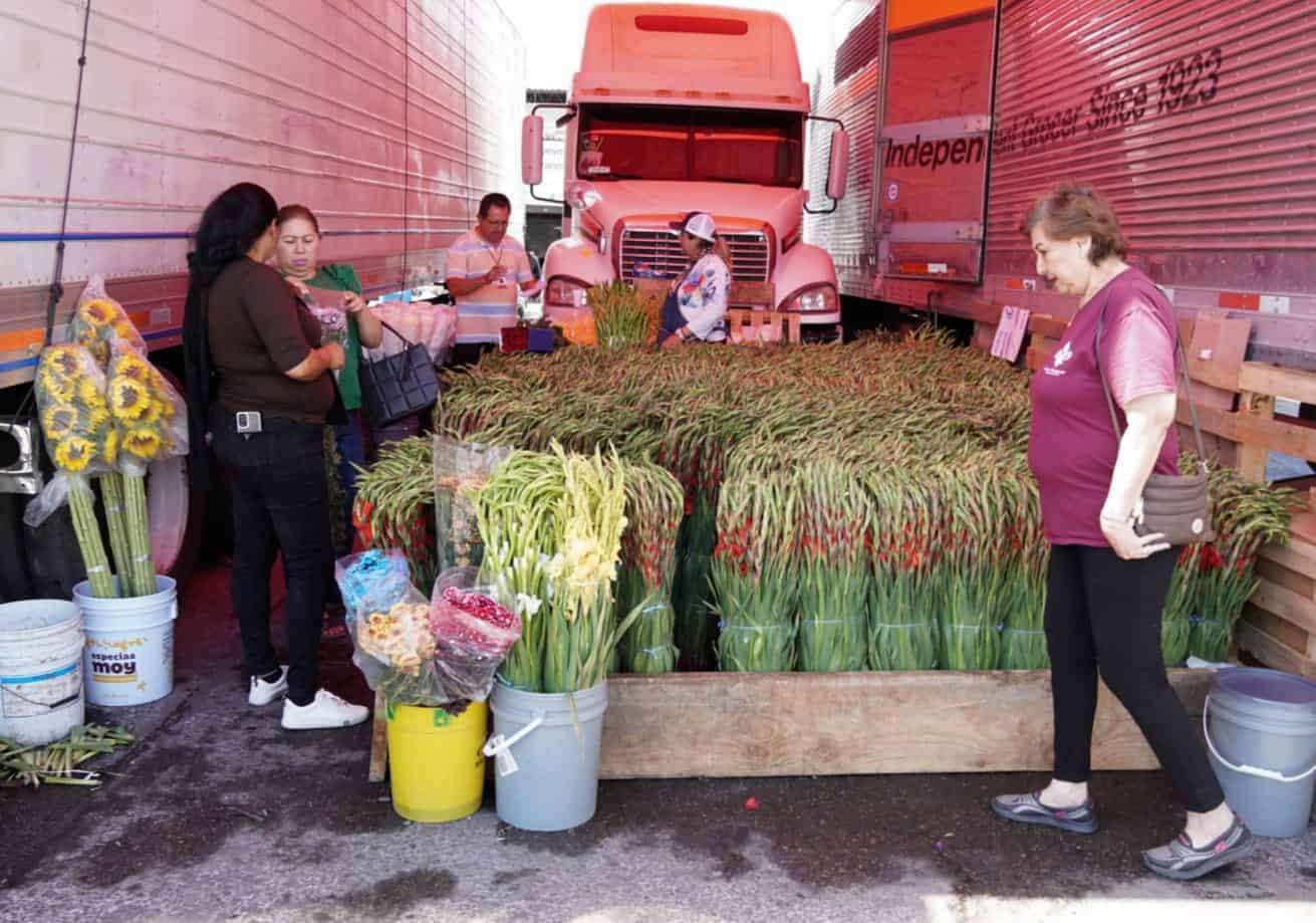 Día de las Madres: Llegaron las flores a Ciudad Obregón