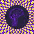 ¿Por qué algunas personas son más propensas a las ilusiones ópticas? La ciencia de la percepción