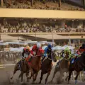¿Cuánto cuesta visitar el Hipódromo de las Américas en la CDMX y cómo apostar?