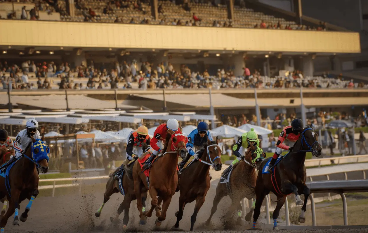 Apostar en el Hipódromo de las Américas es una experiencia divertida.