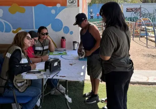 Mascotas pueden contraer "moquillo" en Sonora