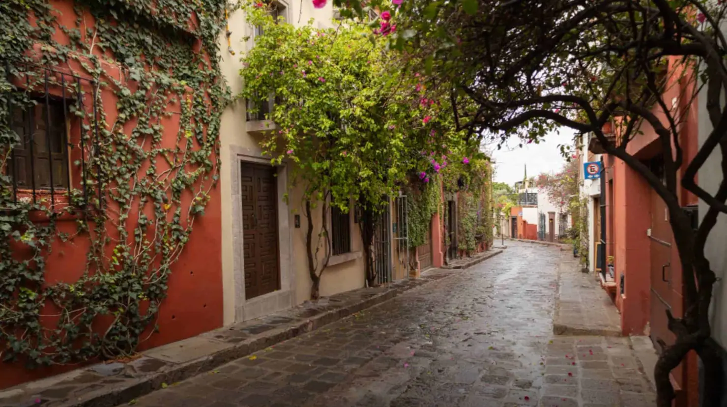 México destaca entre las calles más bonitas del mundo: ¿En dónde se encuentra?