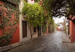 México destaca entre las calles más bonitas del mundo: ¿En dónde se encuentra?