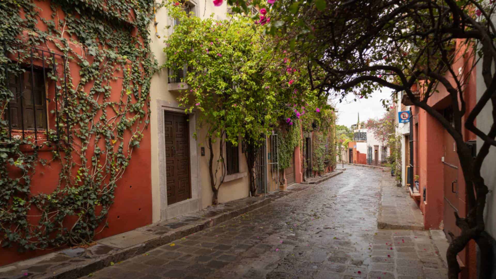 México destaca entre las calles más bonitas del mundo: ¿En dónde se encuentra?
